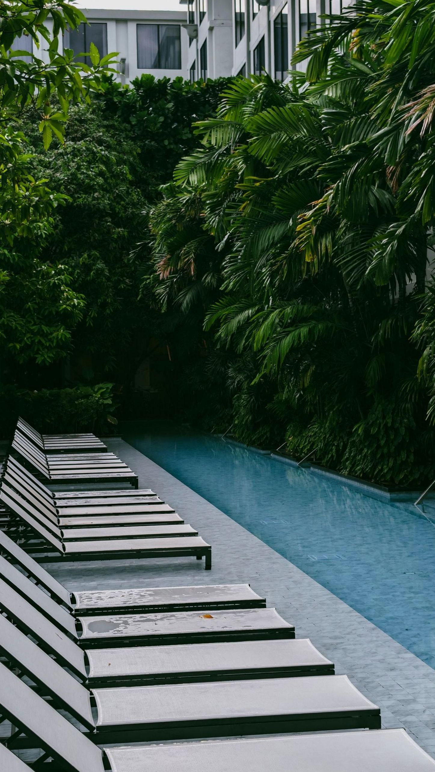 Poolside Relaxation